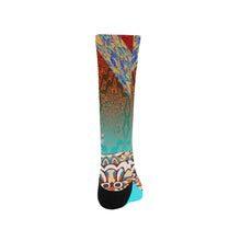 Homeostatis Socks