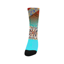 Homeostatis Socks