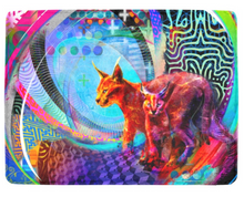 That's Why They Call Me Whiskers Micro Fleece Blanket 60"x80"