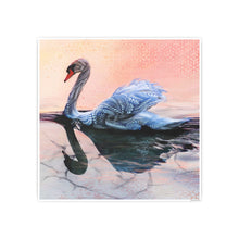 Photo Art Paper Posters