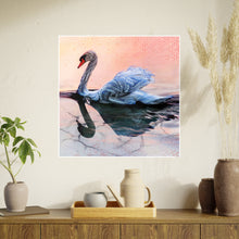 Photo Art Paper Posters