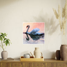 Photo Art Paper Posters