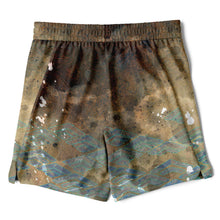 Terra Firma Men's 2-in-1 Shorts - AOP