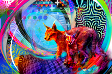 "That's Why They Call Me Whiskers" Print 8x12