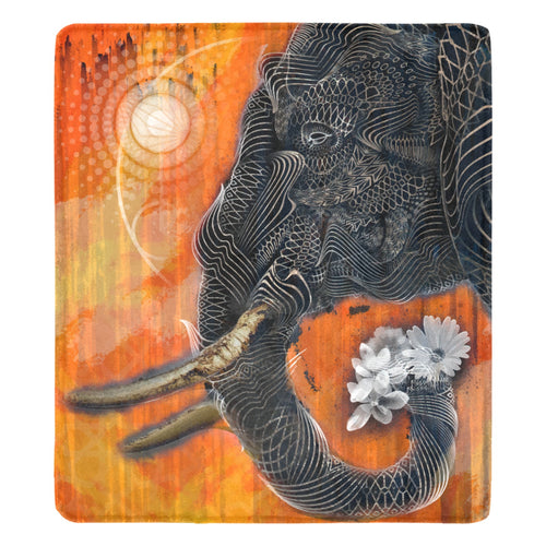 Trunk Space Ultra-Soft Micro Fleece Blanket 70''x80''